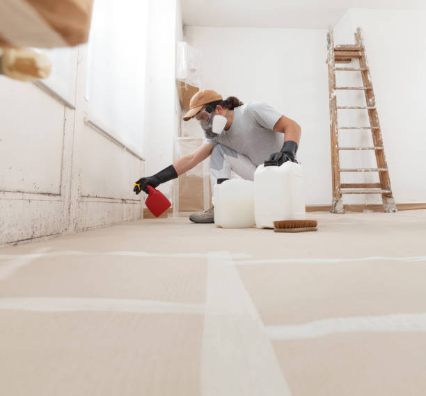 Professional Mold Removal in Bala Cynwyd, PA